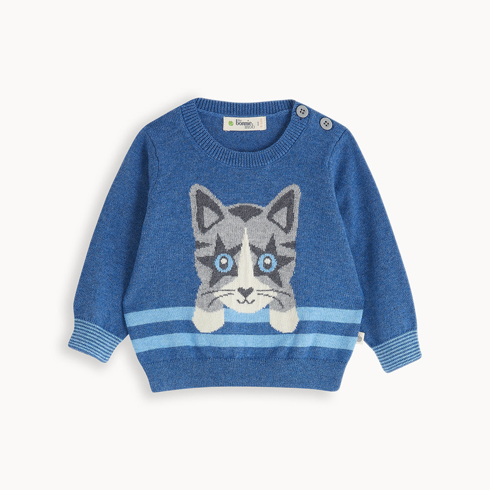 Intarsia Sweater Blue