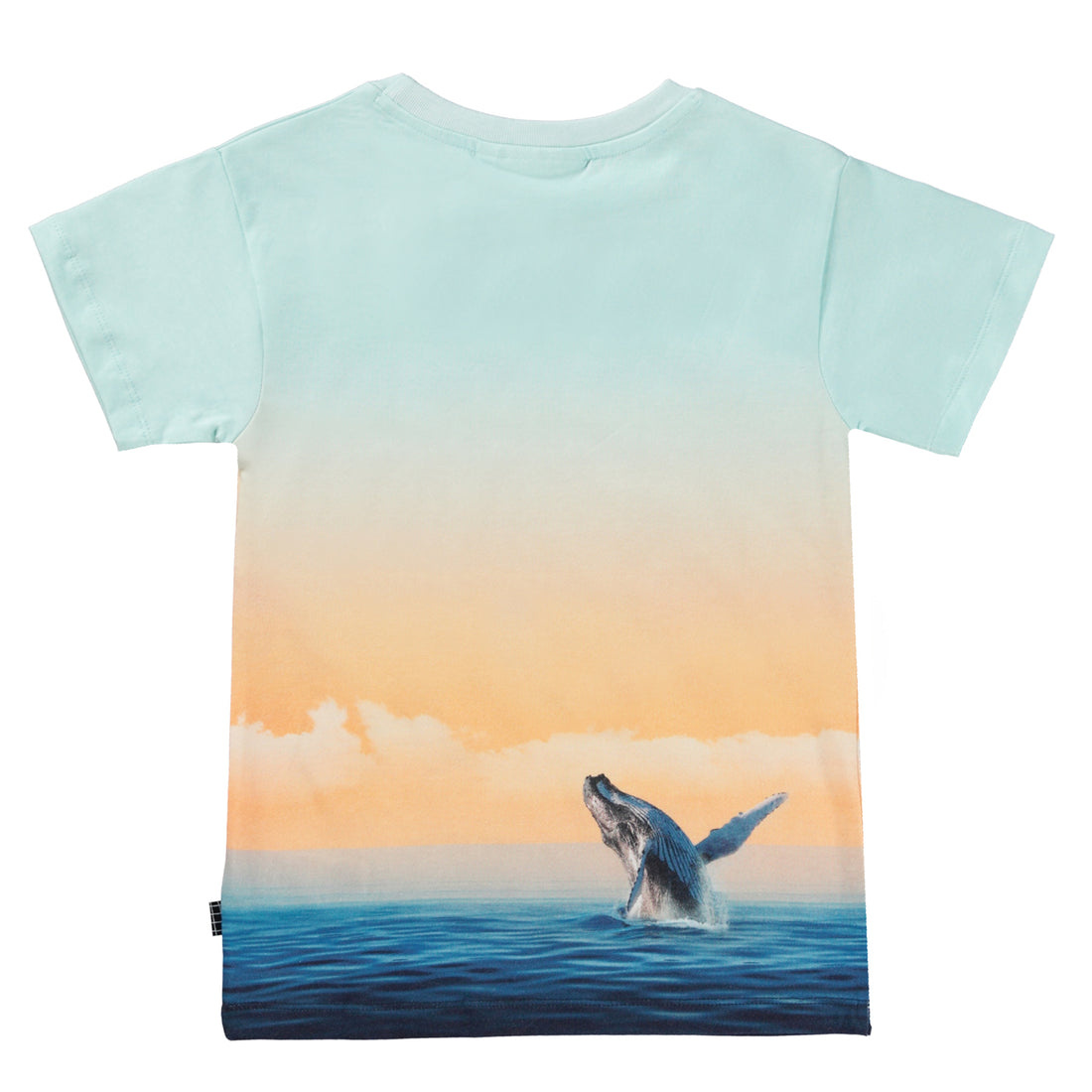 Molo Raul T-Shirt - Ocean Smile