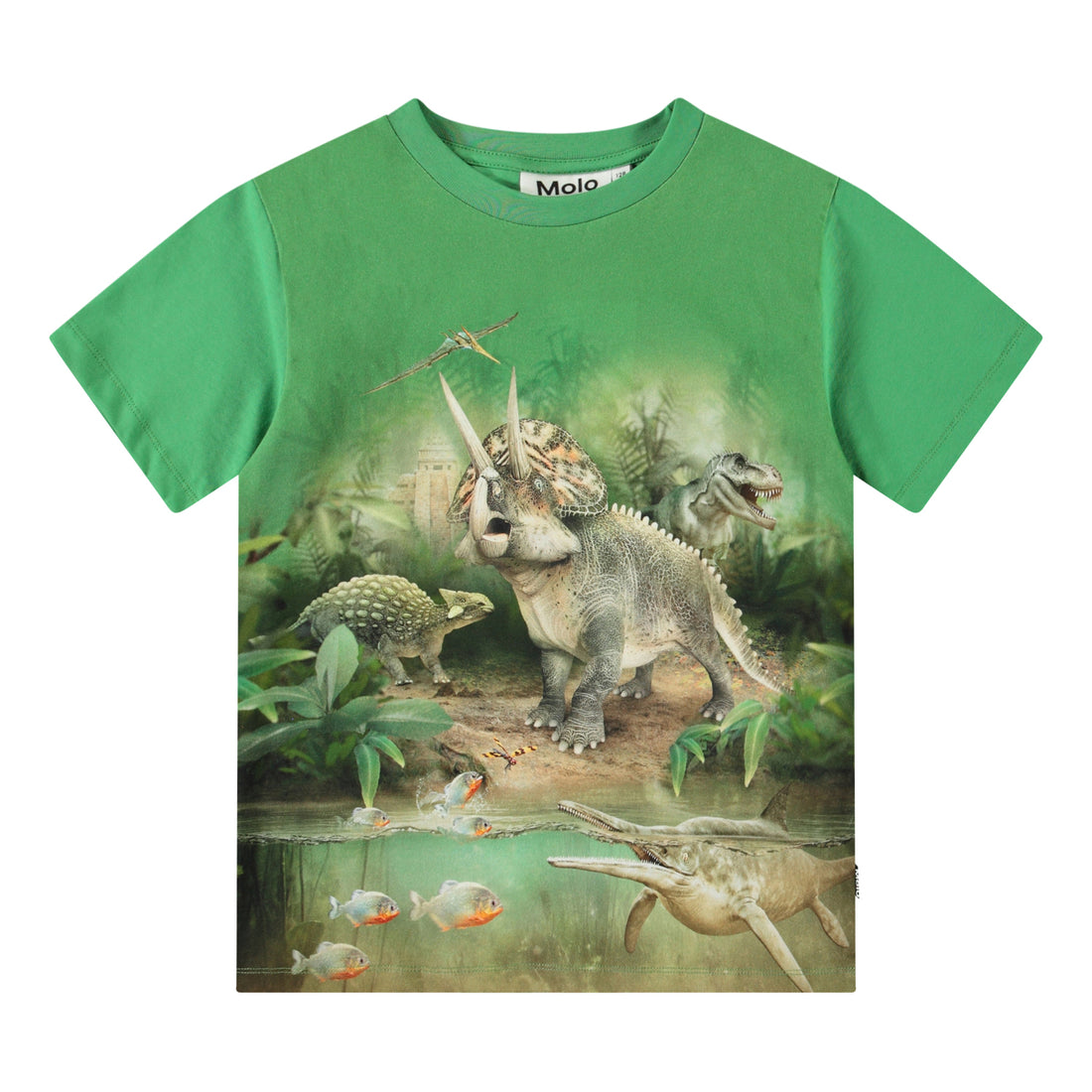 Molo Riley Short Sleeve T-Shirt - Jungle Dinos