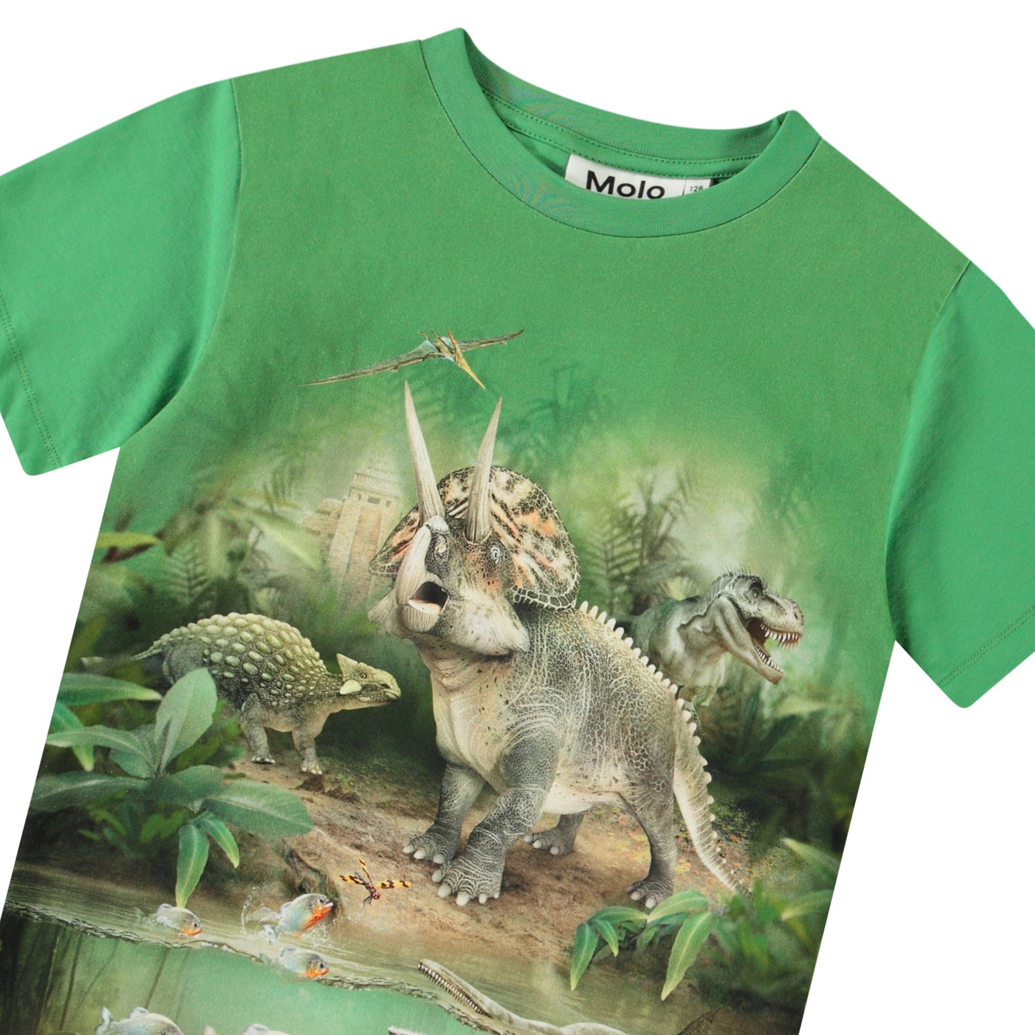 Molo Riley Short Sleeve T-Shirt - Jungle Dinos