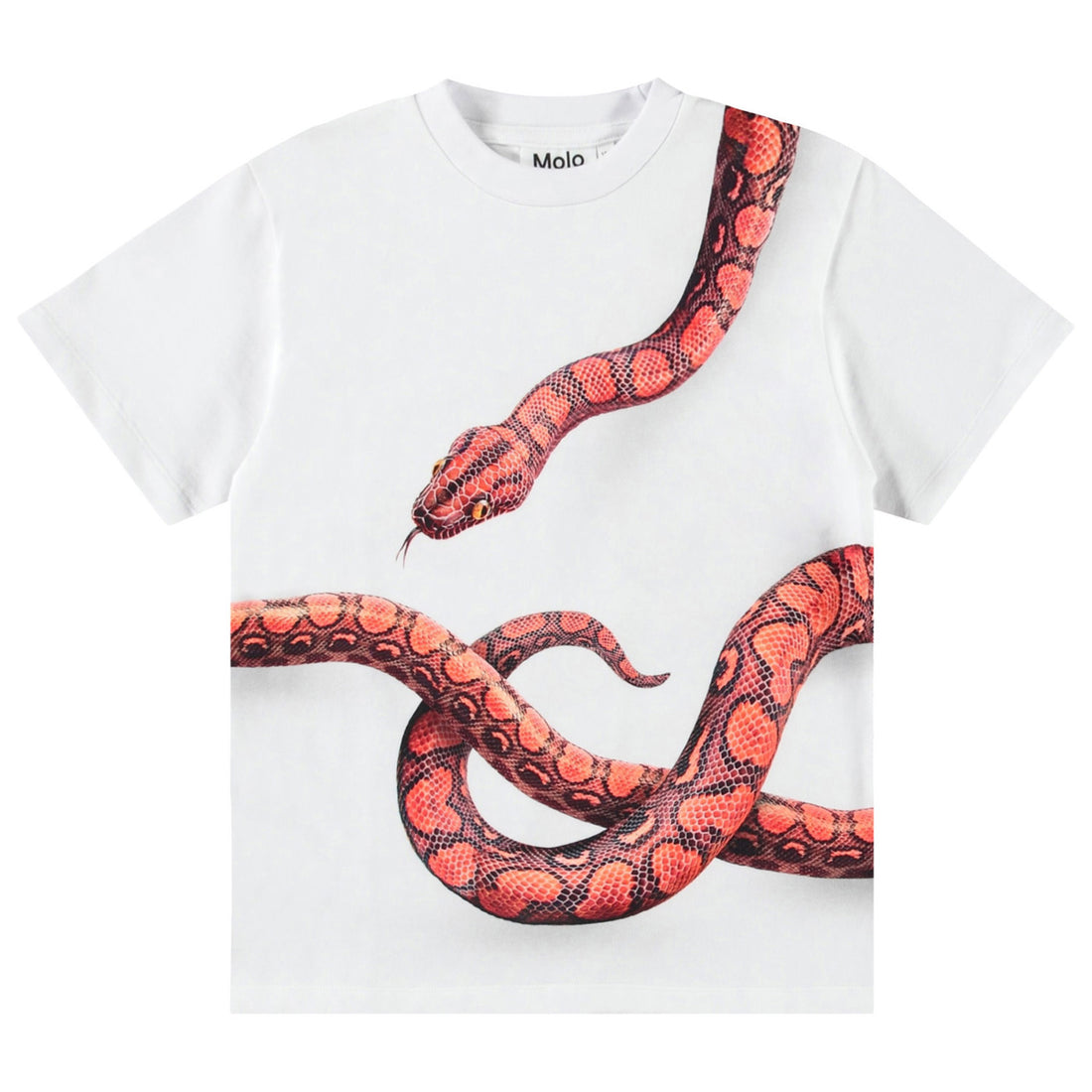 Molo Rubin Short Sleeve T-Shirt - Red Snake