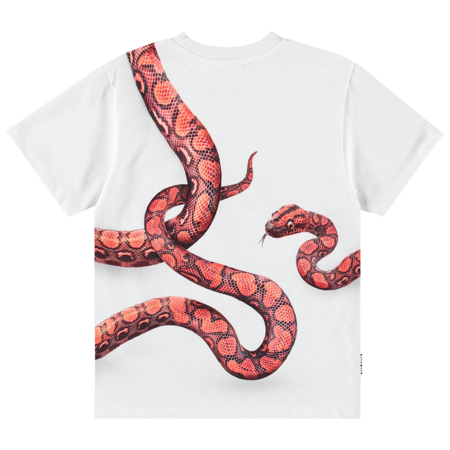 Molo Rubin Short Sleeve T-Shirt - Red Snake