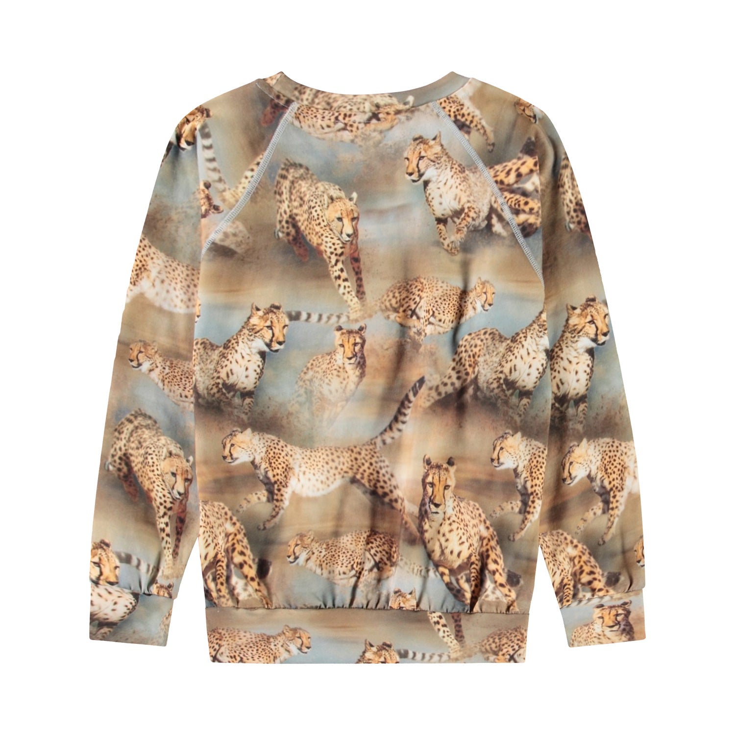 Molo Romeo Long Sleeve T-Shirt - Fast Cheetahs