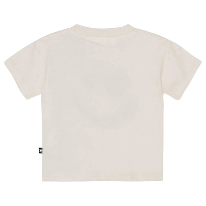 Molo Enzo Short Sleeves T-Shirts - Sea Shell