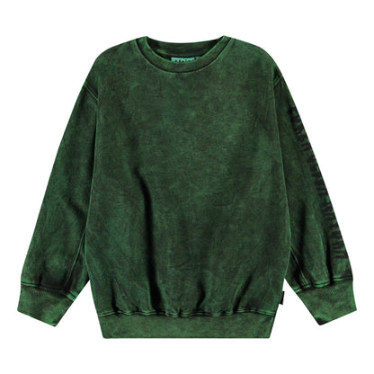 Molo Magni Sweatshirt - Amazonas Dye