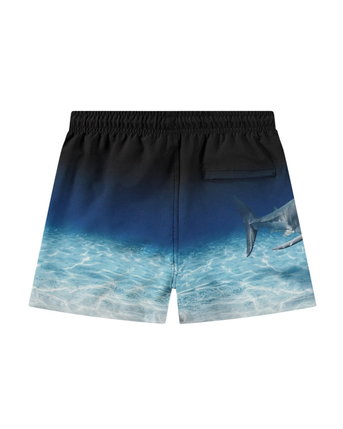 Molo Niko Boardies - Faded Shark