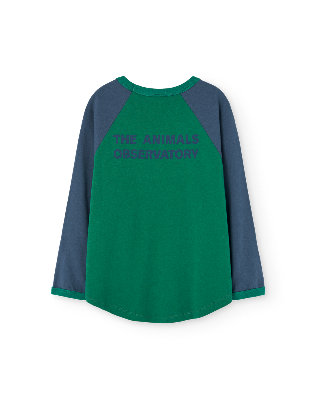 The Animals Observatory Anteater Kids T-shirt - Green