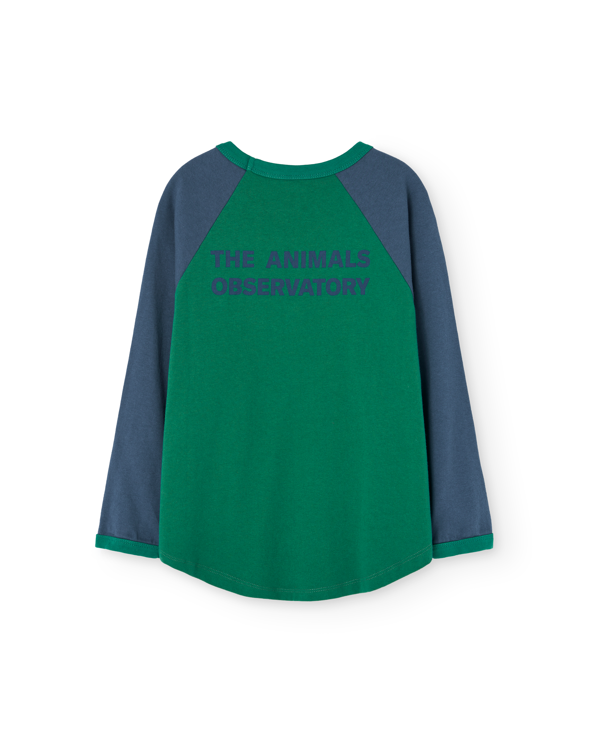 The Animals Observatory Anteater Kids T-shirt - Green