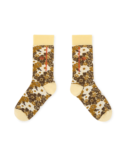 The Animals Observatory Snail Kids Socks - Brown