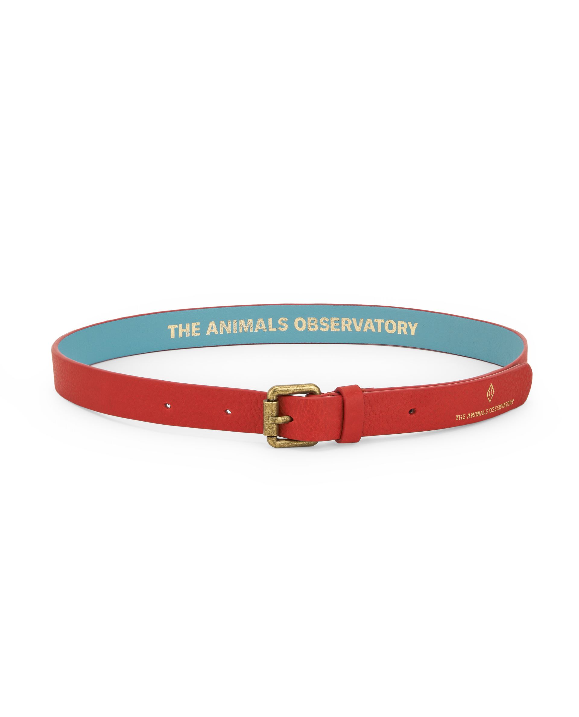 The Animals Observatory Ibis Kids Belt - Red