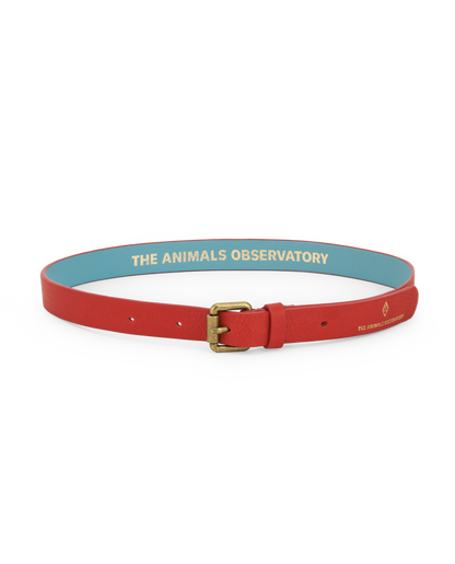 The Animals Observatory Ibis Kids Belt - Red