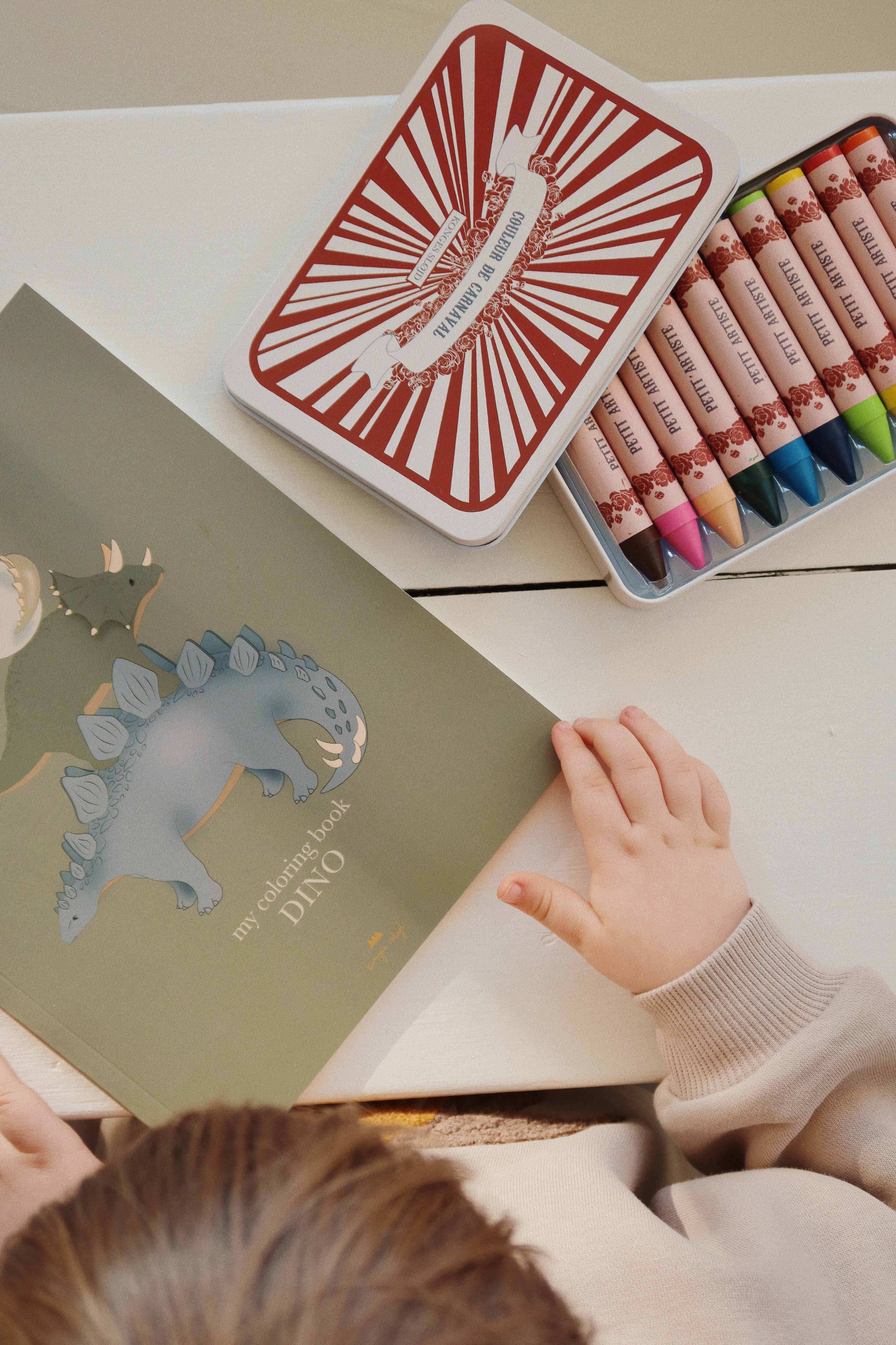 Konges Sløjd Coloring Book And Crayons - Dino