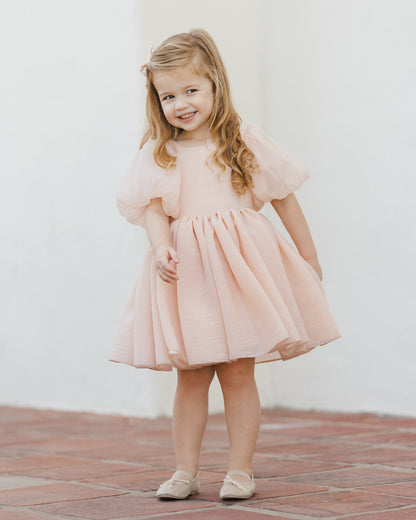 Noralee Sofia Dress - Blush