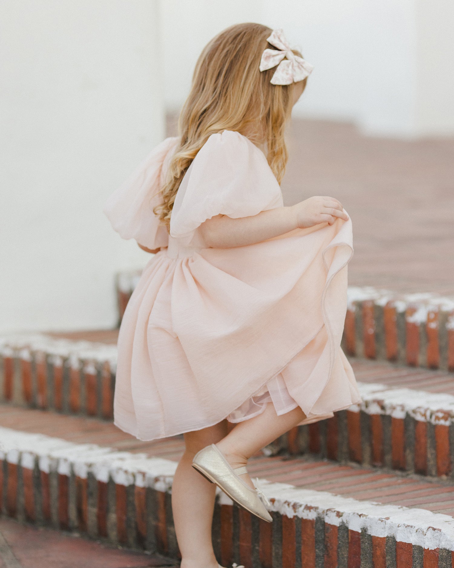 Noralee Sofia Dress - Blush