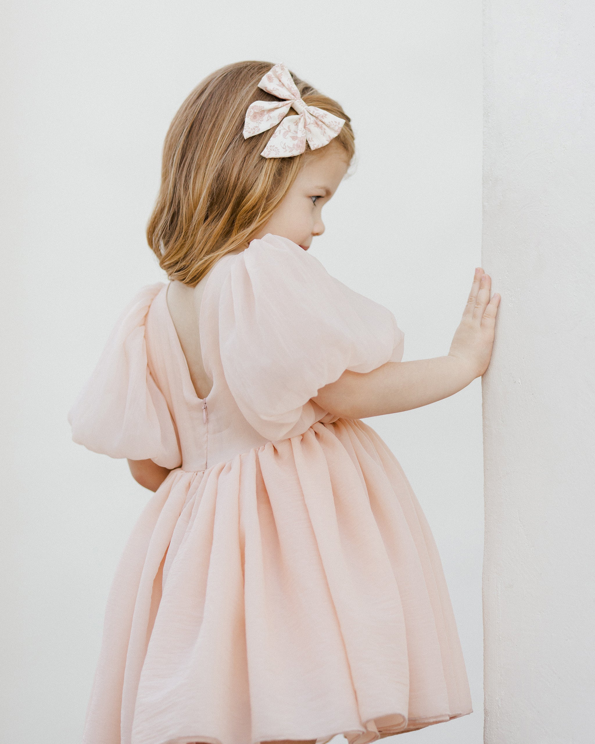 Noralee Sofia Dress - Blush