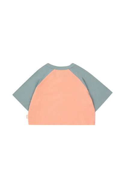 Tiny Cottons Stars Crop Tee - Papaya/Warm Grey