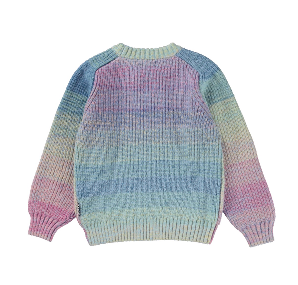 Molo Bosse Jumper - Space Dye