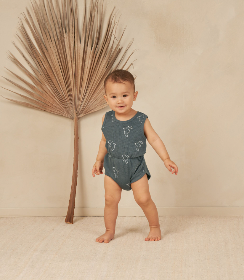 Rylee + Cru Cinch Playsuit - Birds