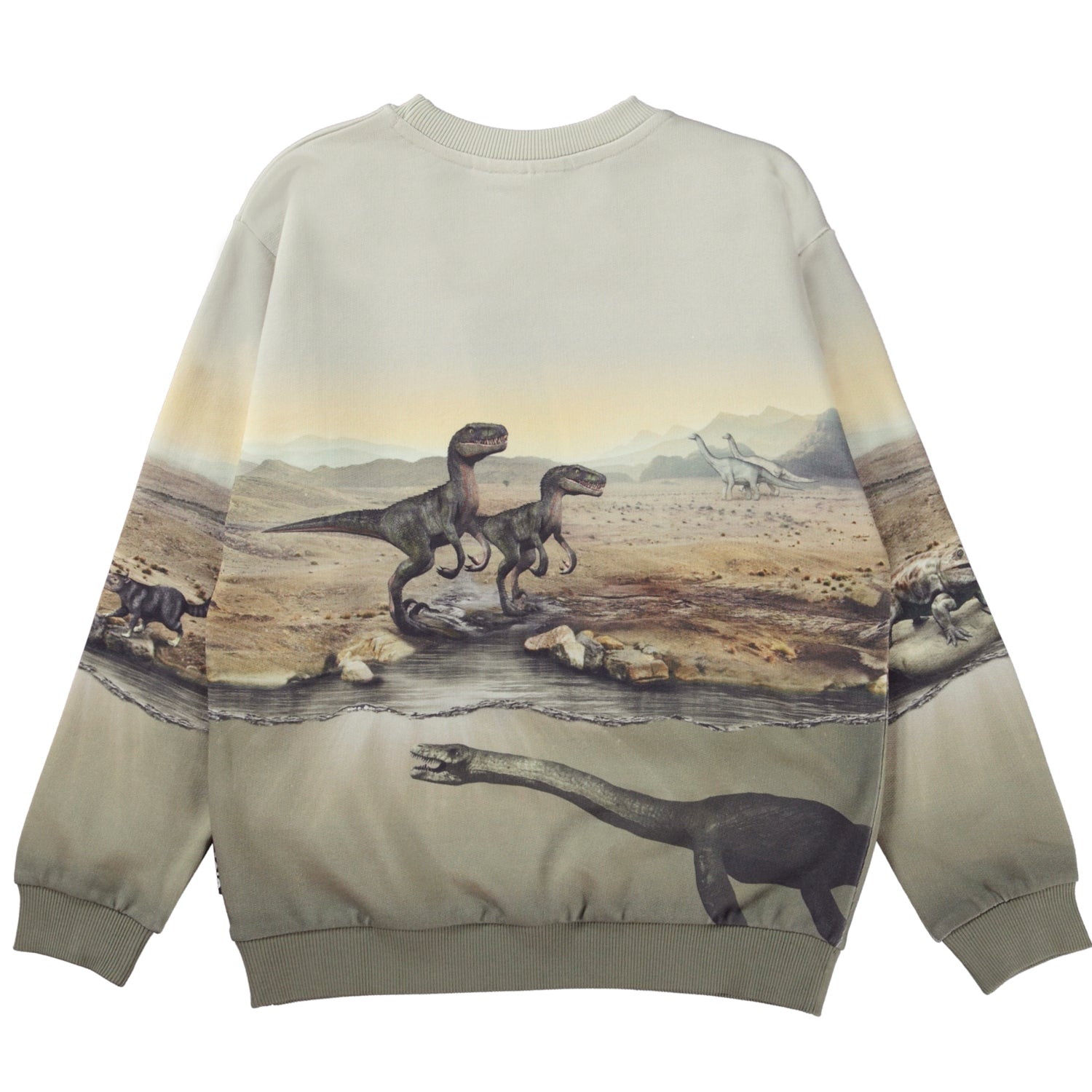 Molo Miksi Sweatshirt - Dry Land Dinos