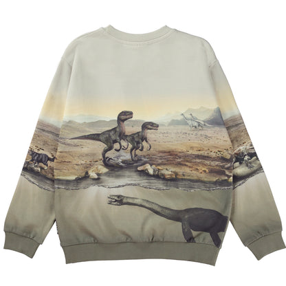 Molo Miksi Sweatshirt - Dry Land Dinos