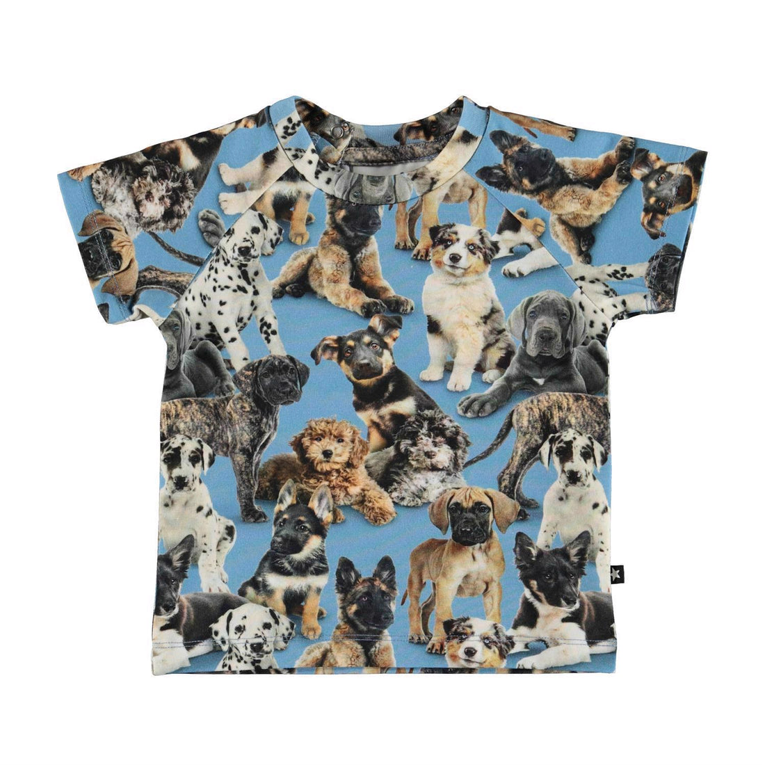 Molo Emmett Shortsleeve - Pups