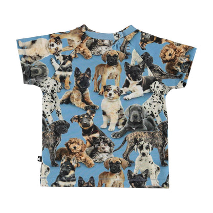 Molo Emmett Shortsleeve - Pups