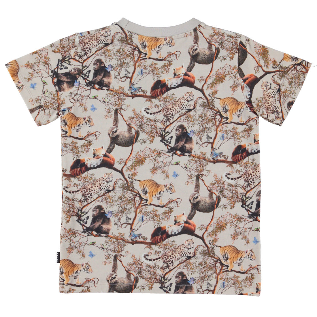 Molo Ralphie Shirt - Cubs Harmony