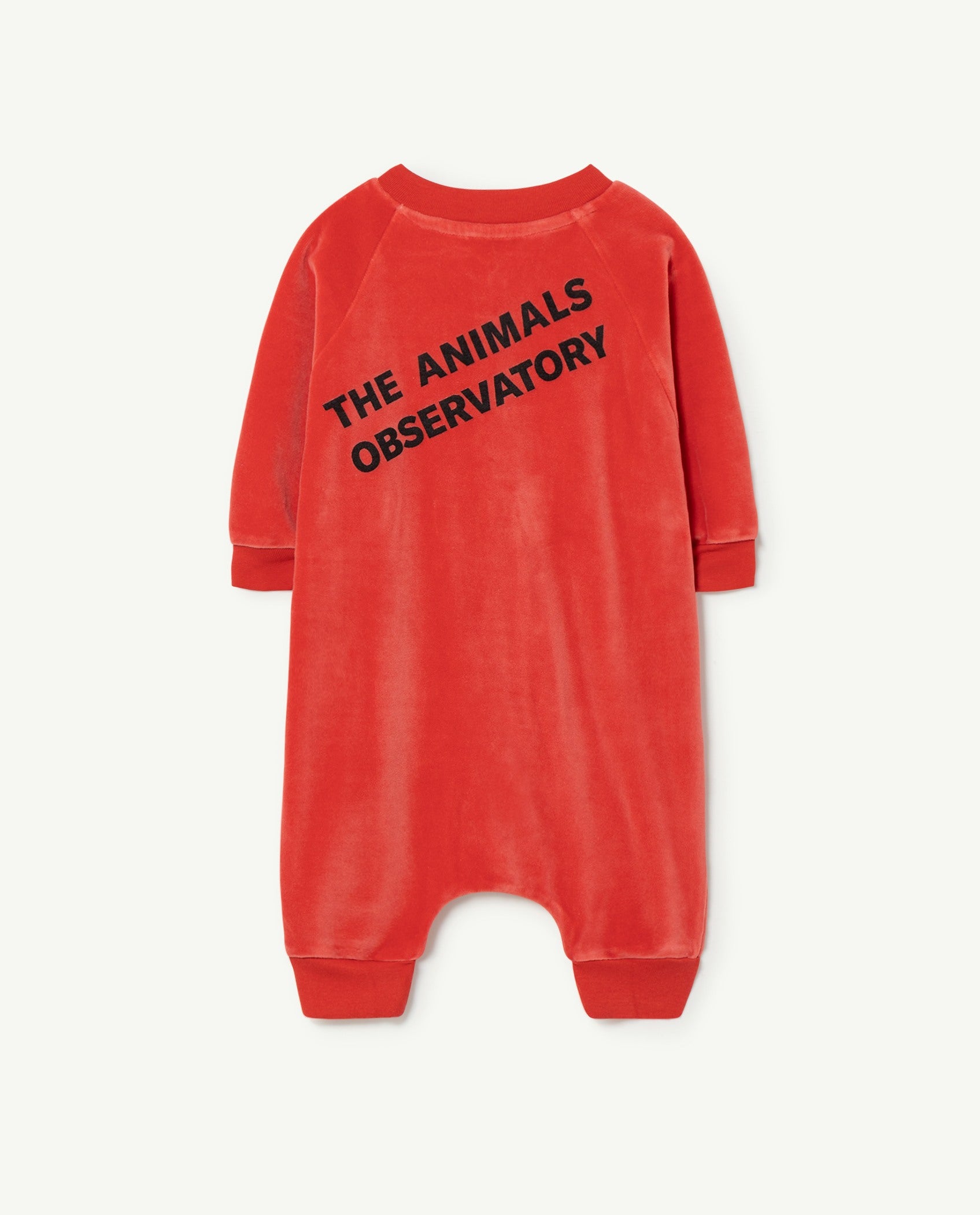 The Animals Observatory Lamb Baby Jumpsuit - Red