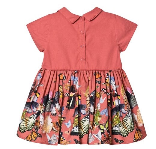 Molo Cinna Dress - Baby Papillon