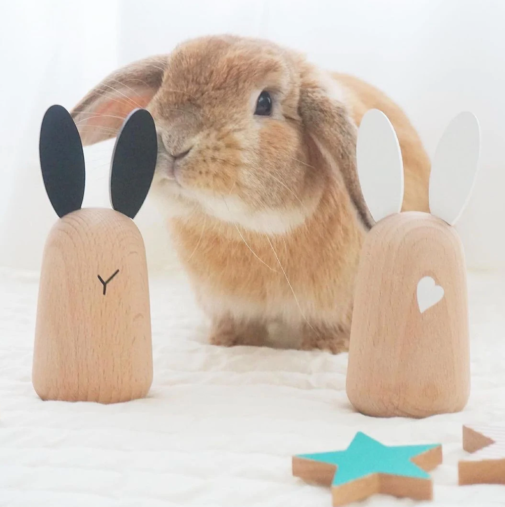 Kiko &amp; GG Usagi Bunny Chimes